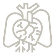 Organ health massage and therapy Anam Amatsu transparent Organ health massage and therapy Anam Amatsu transparent